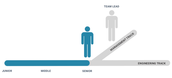 programming vs management career