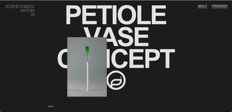 a screenshot of petiolevase.com